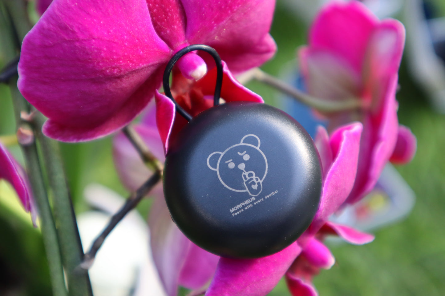 MORPHEUS Earplugs. Best earplugs for outdoor.